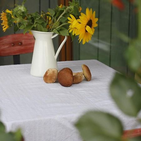 Holiday Home Trnavsko Bogojina Экстерьер фото