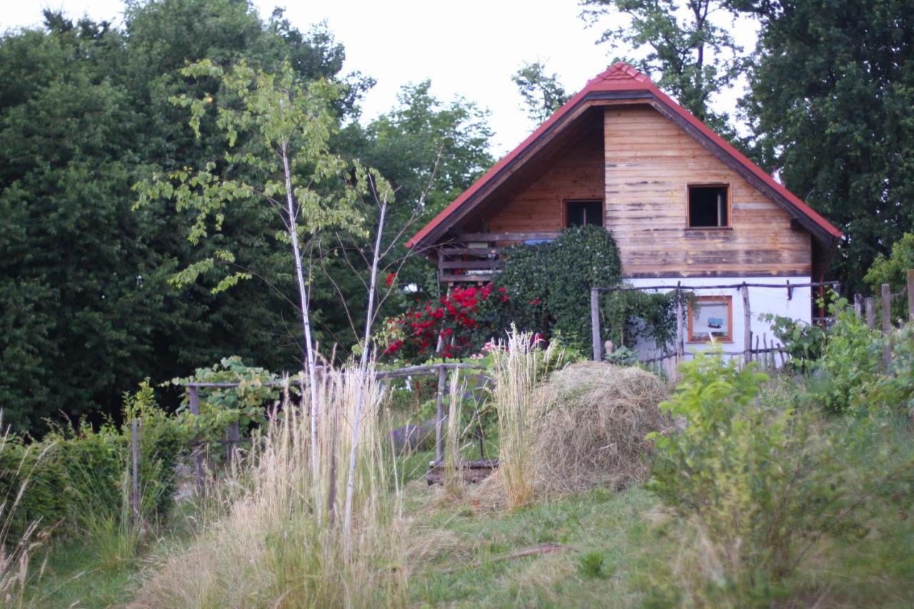 Holiday Home Trnavsko Bogojina Экстерьер фото